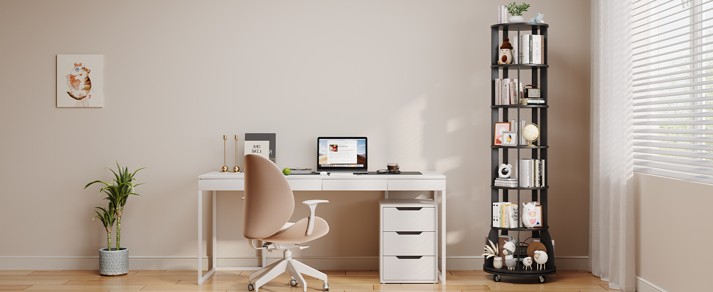 Bookshelf & Storage Cabinet